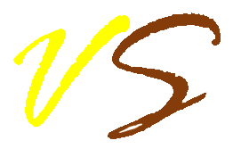 VidyaWebSiteLogo